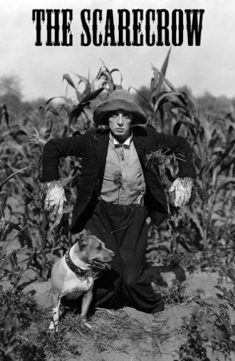 The Scarecrow (1920)