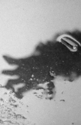 Dream of Water (1968)