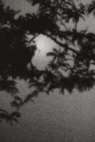 Moonplay (1962)