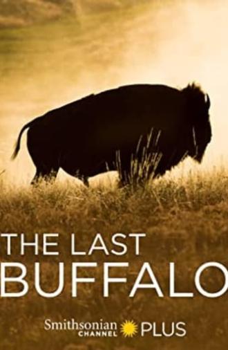 The Last Buffalo (2017)