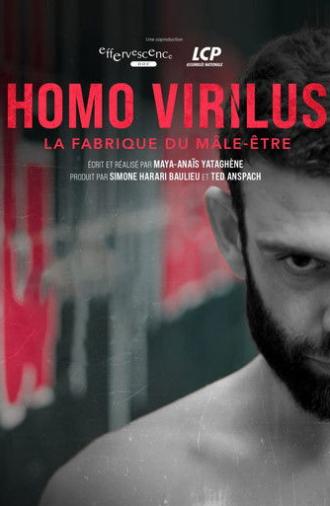 Homo virilus : la fabrique du mâle-être (2025)