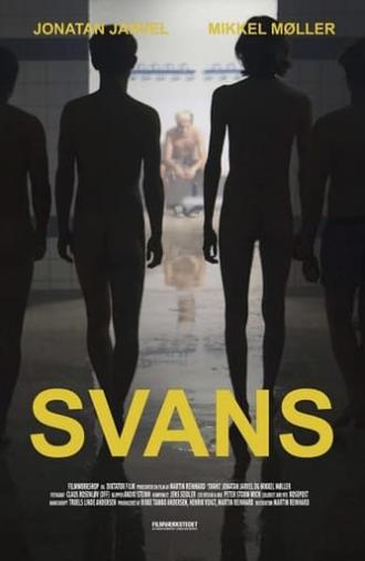 Swans (2016)