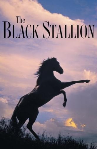 The Black Stallion (1979)