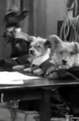 The Two Barks Brothers (1931)