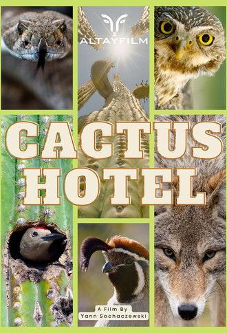 Cactus Hotel (2023)
