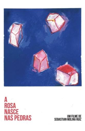 A Rosa Nasce Nas Pedras (2024)