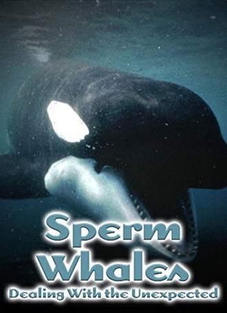 Sperm Whales: Dealing with the Unexpected (2005)