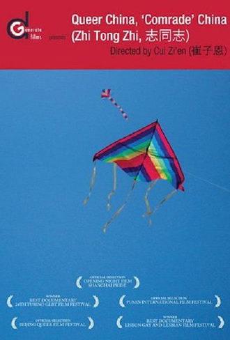 Queer China, 'Comrade' China (2009)