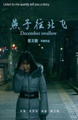 December Swallow (2019)