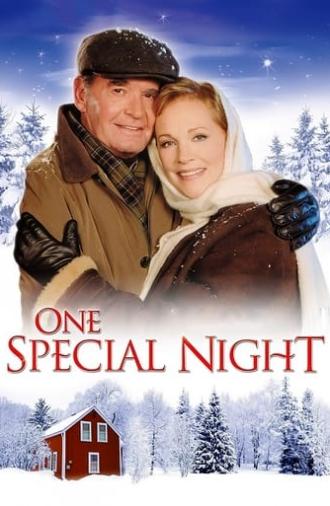 One Special Night (1999)