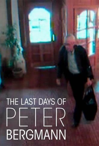 The Last Days of Peter Bergmann (2013)