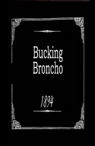 Bucking Broncho (1894)