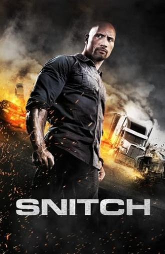 Snitch (2013)