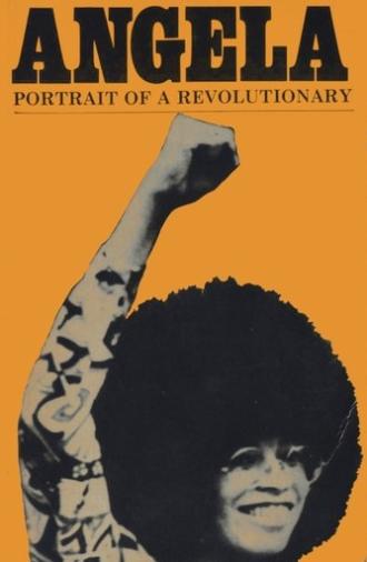 Angela Davis: Portrait of a Revolutionary (1972)