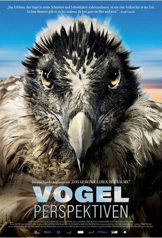 Bird's Eyeview (2022)