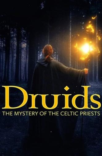 Druids: The Mystery of Celtic Priests (2021)