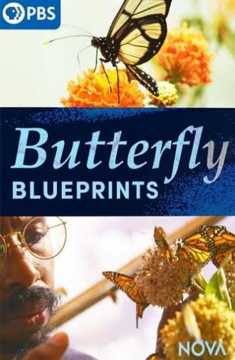 Butterfly Blueprints (2022)