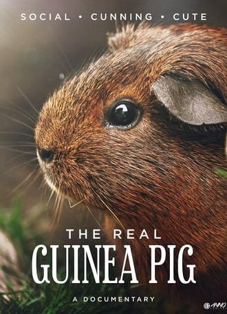 The Real Guinea Pig (2015)