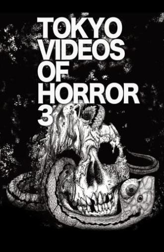 Tokyo Videos of Horror 3 (2012)