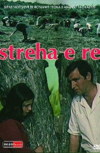 The New Shelter (1977)