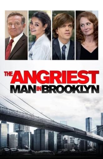 The Angriest Man in Brooklyn (2014)