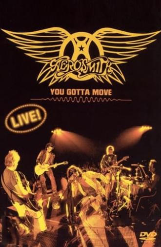 Aerosmith - You Gotta Move (2004)