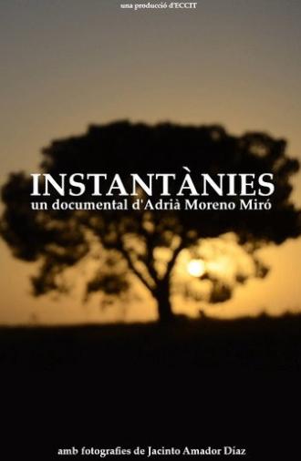 Instantànies (2025)