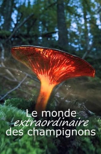 Le monde extraordinaire des champignons (2023)