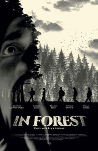 In Forest (2025)