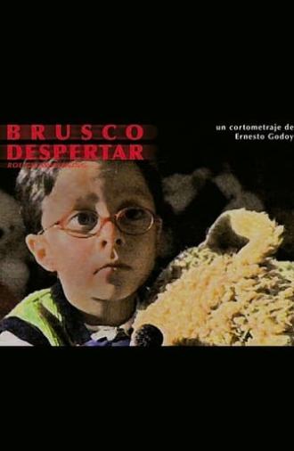 Brusco despertar (2003)