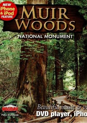 Muir Woods (2013)