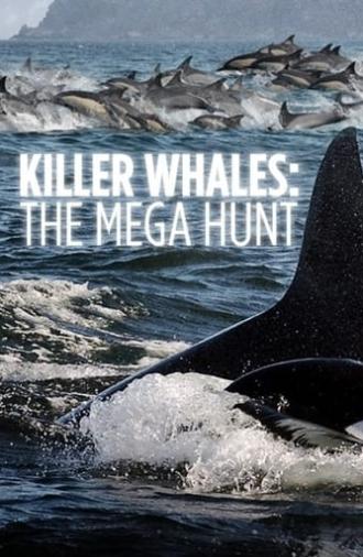 Killer Whales: the Mega Hunt (2016)