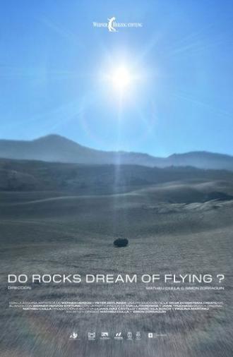 Do Rocks Dream of Flying ? (2024)