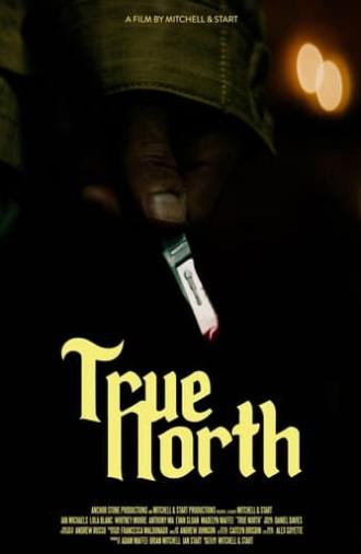 True North (2021)