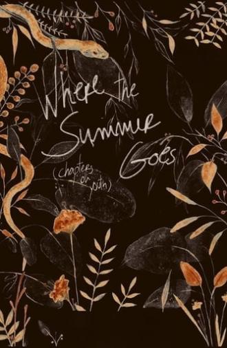 Where the Summer Goes (Chapters on Youth) (2018)