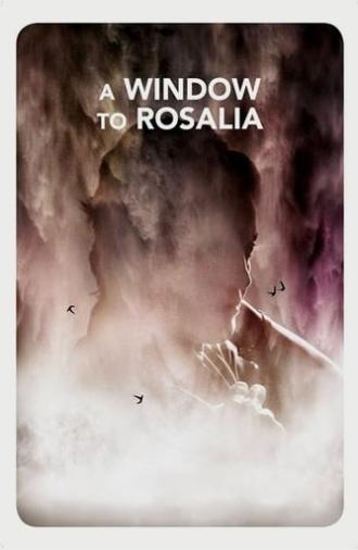 A Window to Rosália (2017)