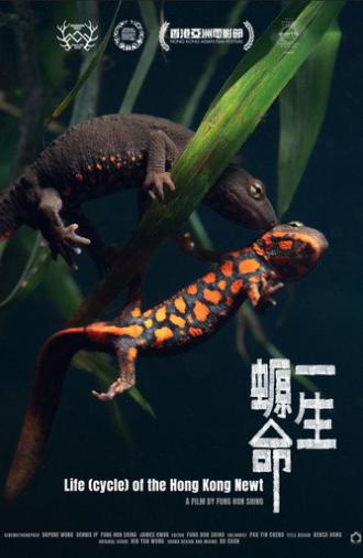 Life (cycle) of the Hong Kong Newt (2024)