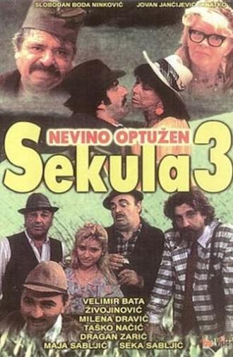 Sekula Innocent Accused (1992)