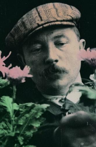 Chrysanthemum, King of Autumn (1914)