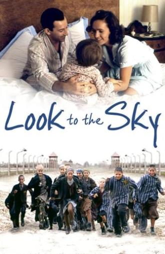 Look to the Sky (1993)