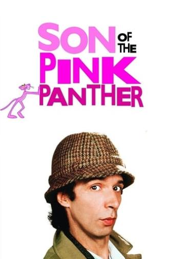 Son of the Pink Panther (1993)