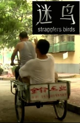 Stragglers Birds (2011)