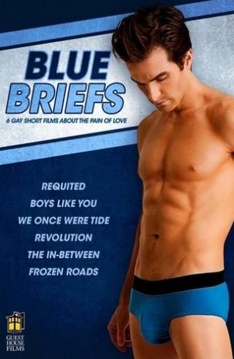 Blue Briefs (2012)