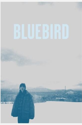 Bluebird (2014)