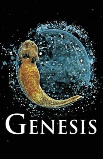 Genesis (2004)