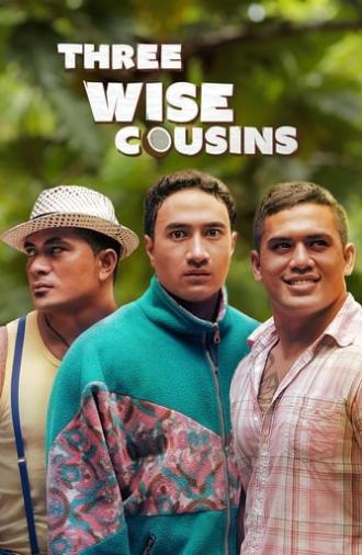 Three Wise Cousins (2016)