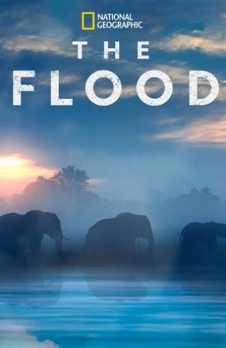 The Flood (2018)