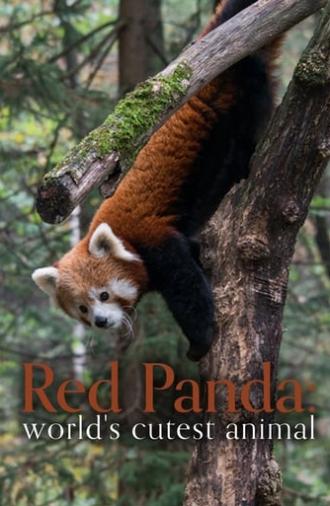 Red Panda: World's Cutest Animal (2017)