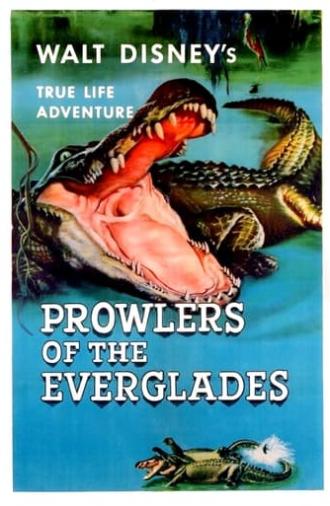 Prowlers of the Everglades (1953)