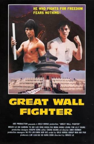 Fire on the Great Wall (1990)